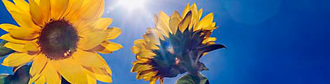 Foto:FutureImageBank