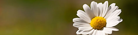 Foto: FutureImagebank