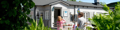 Slottsträdgården. Foto: Jenny Leyman