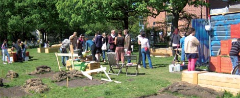 Stadsodling med Mykorrhiza, miljöanslagsprojekt 2011