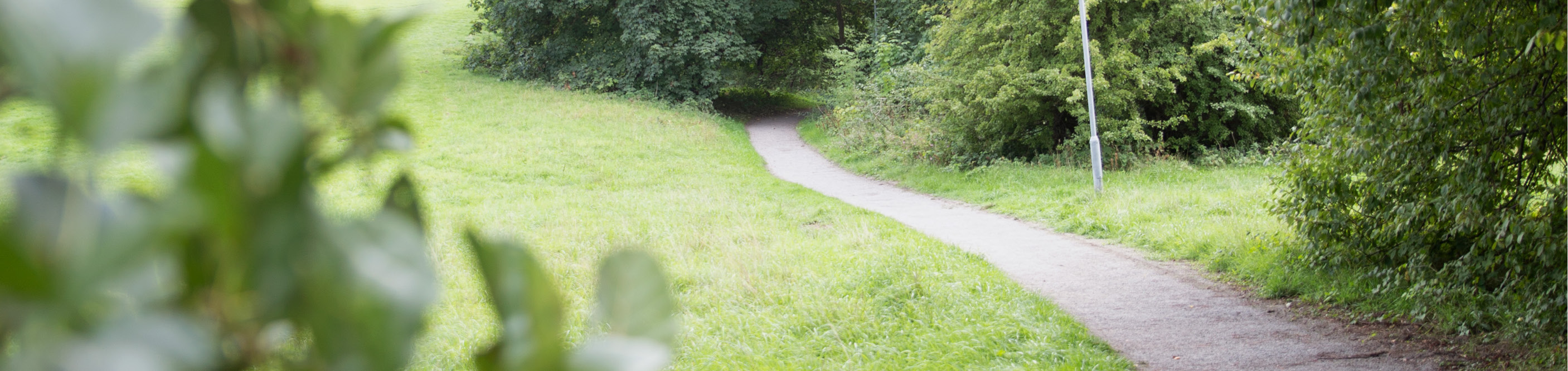 Bulltoftas erbjuder en naturskön miljö.