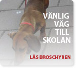 Ladda ner broschyren