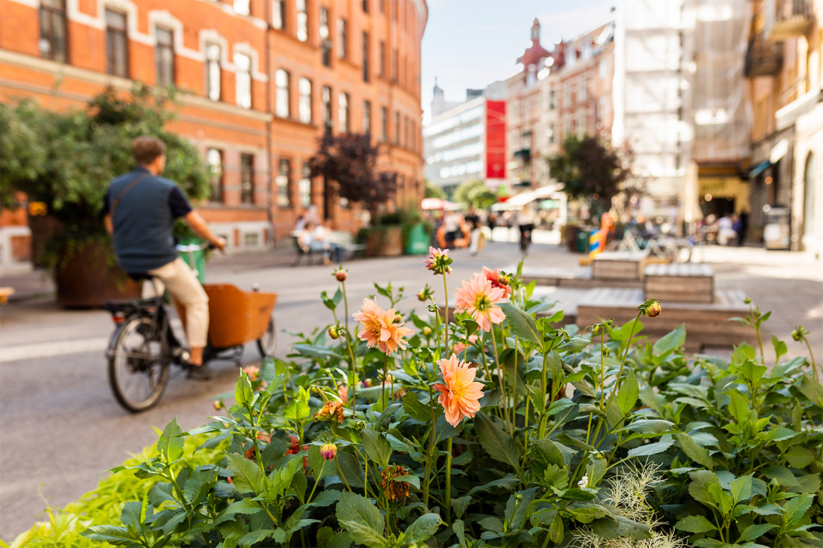 Friisgatan blev sommargata efter ett Malmöinitiativ