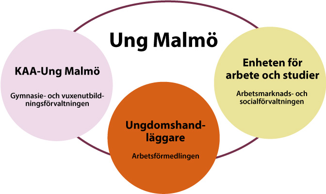 UngMalmö är ett samarbete mellan KAA-Ung Malmö på gymnasie- och vuxenutbildningsförvaltningen, ungdomshandläggare på Arbetsförmedlingen samt  enheten för arbete och studier på arbetsmarknads- och socialförvaltningen.
